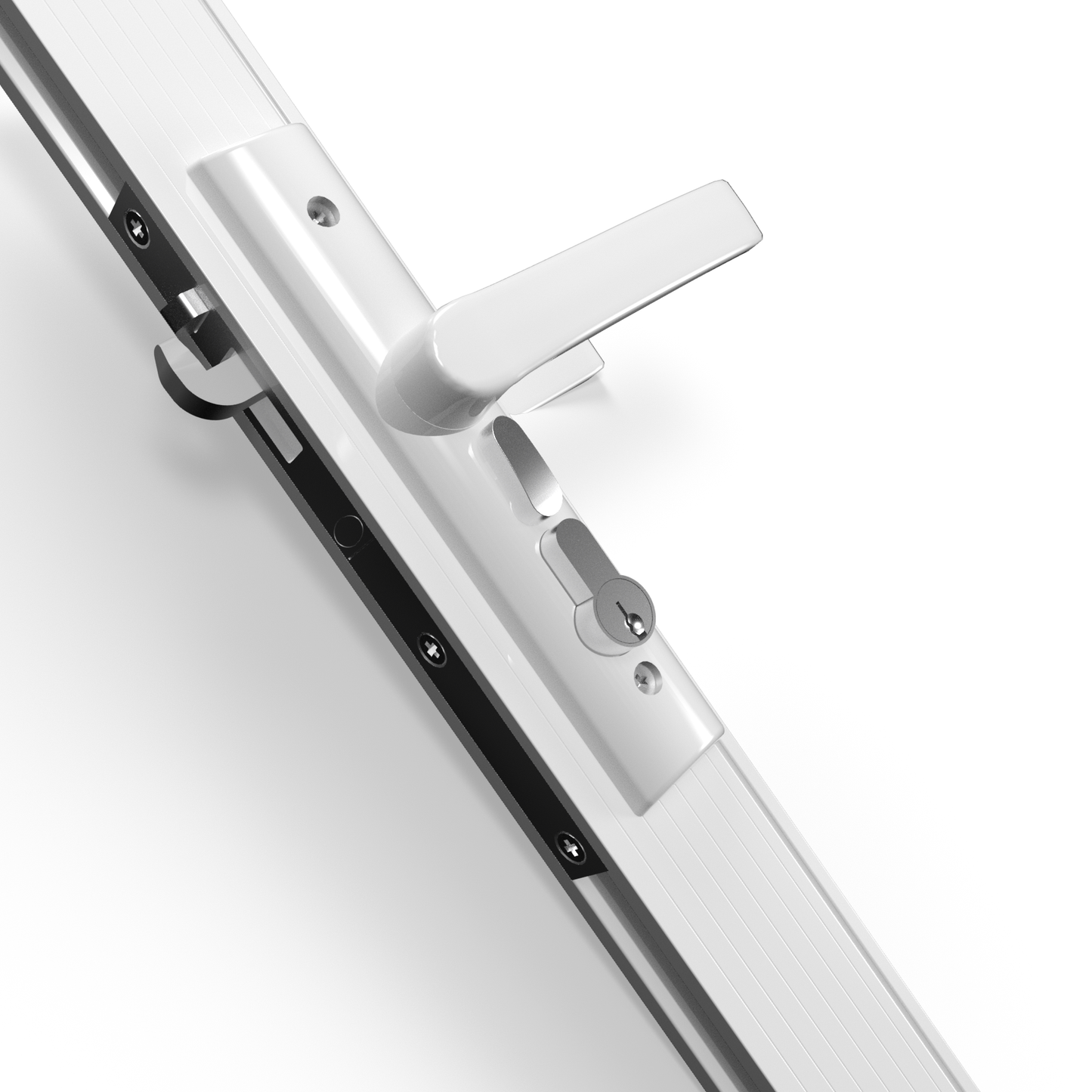 Tasman Security Lock